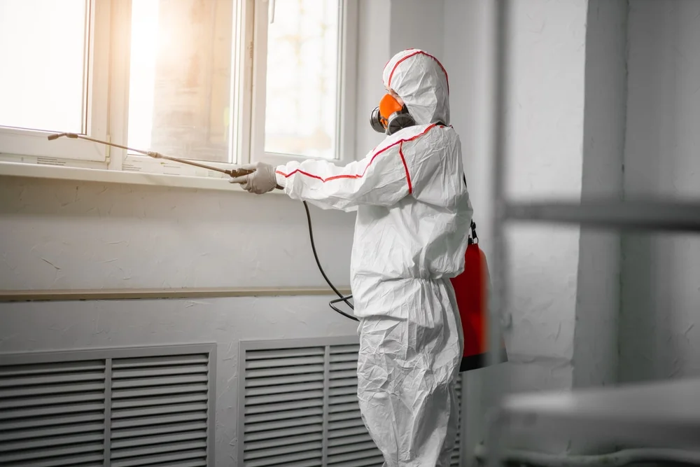 Professional mold remediation services in Howey In The Hills, FL